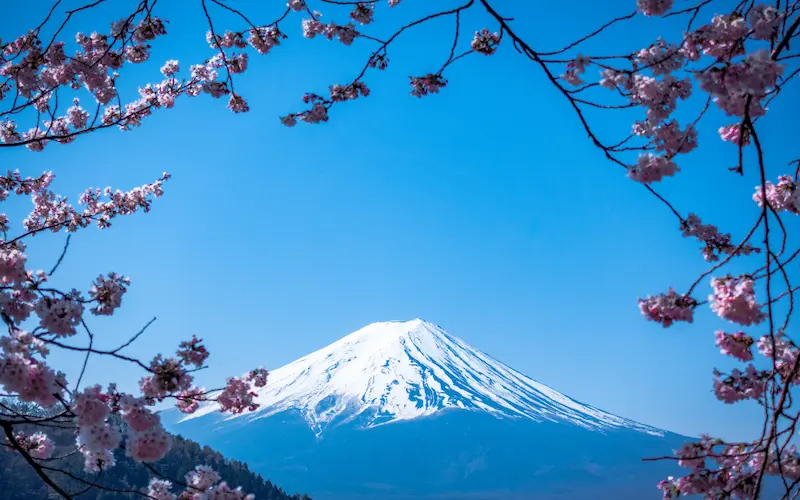 Exploring the Culture and Traditions of Japan